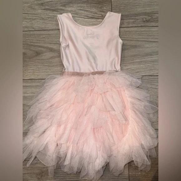 Disney Pink Princess Tulle tutu dress - Picture 4 of 4